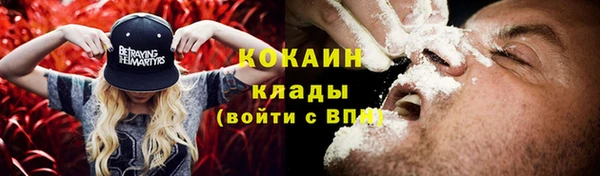 PSILOCYBIN Елизово