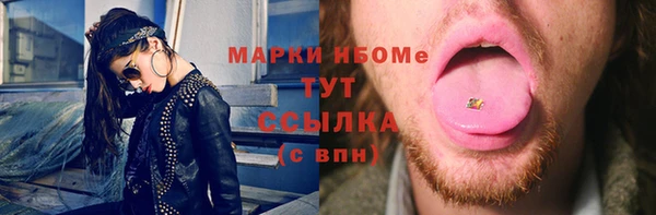 ГАЛЛЮЦИНОГЕННЫЕ ГРИБЫ Ельня