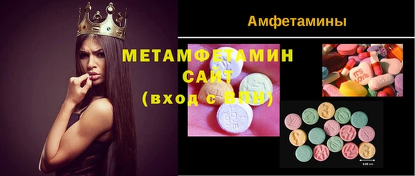 ГАЛЛЮЦИНОГЕННЫЕ ГРИБЫ Ельня