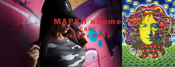 ГАЛЛЮЦИНОГЕННЫЕ ГРИБЫ Ельня