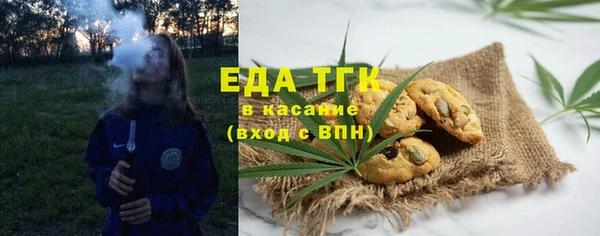 ГАЛЛЮЦИНОГЕННЫЕ ГРИБЫ Ельня