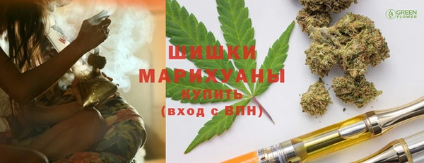 ГАЛЛЮЦИНОГЕННЫЕ ГРИБЫ Ельня